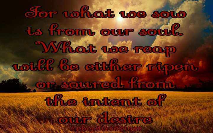 What we sow is what we deserve.#phoenixsayings GifterPhoenix