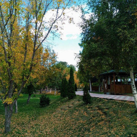 sonbahar