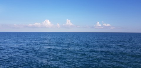 the sea