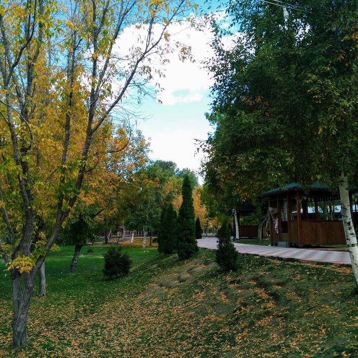 sonbahar