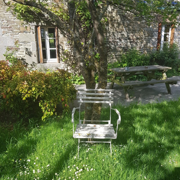 jardin ensoleillé ☀ sunny garden