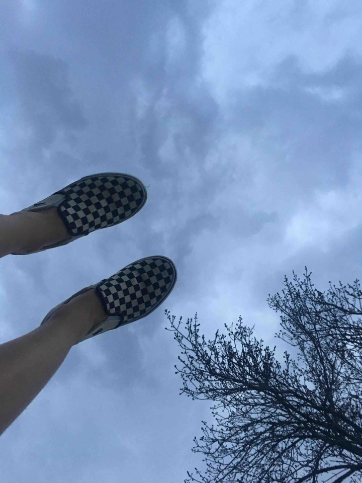 Vans and trees