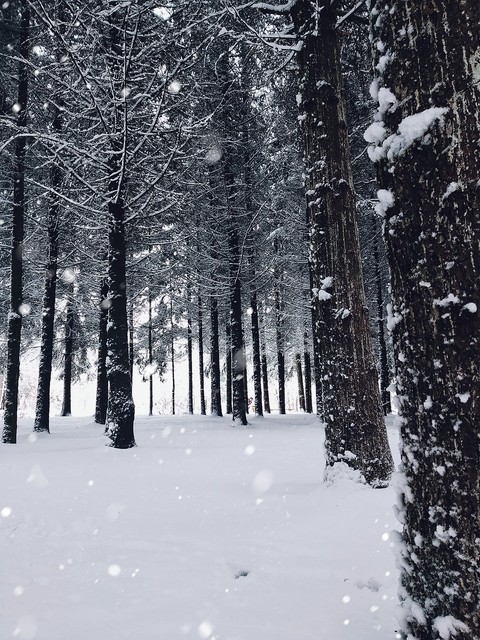 winter