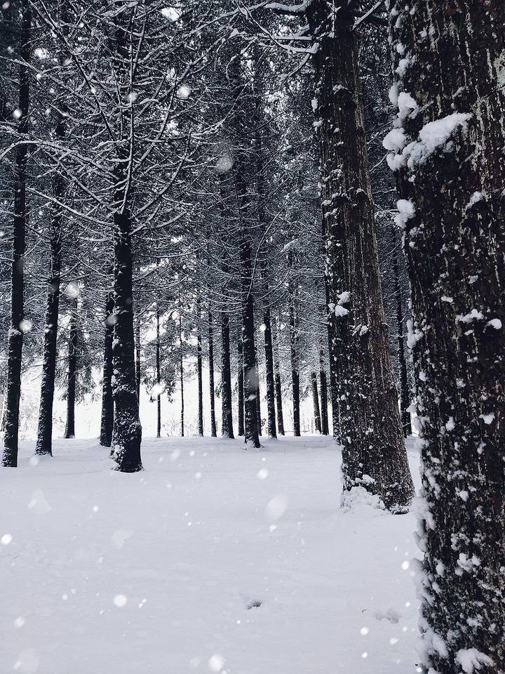 winter