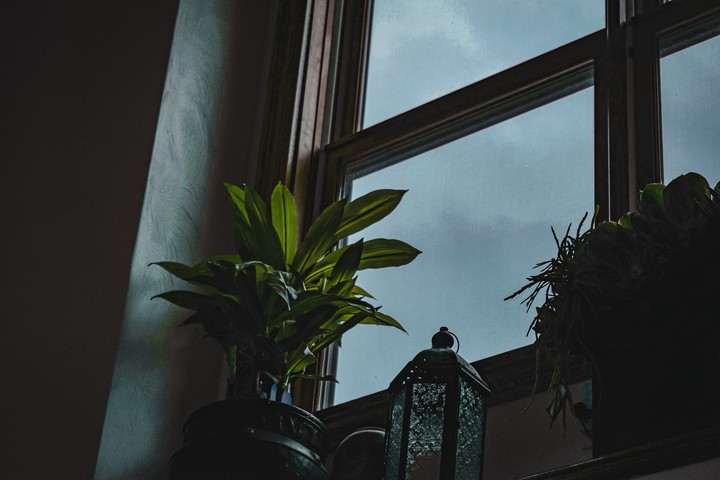 Window