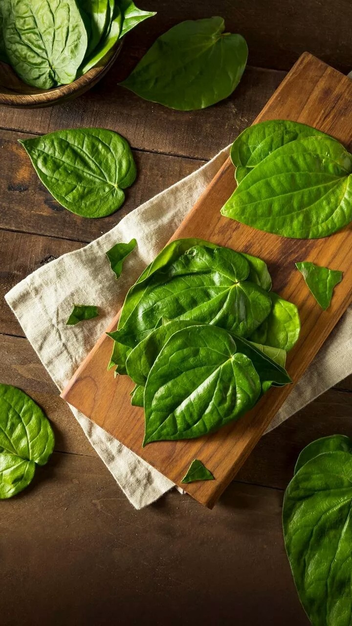moneyleaf