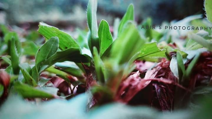 its a natural beauty 