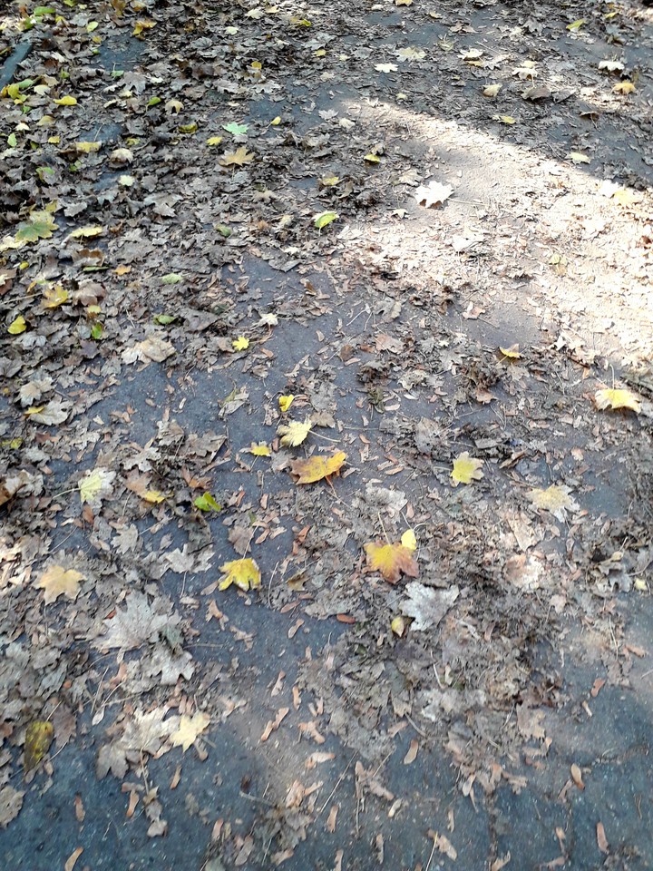 autumn