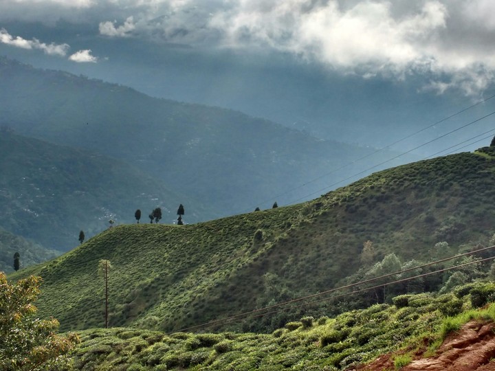 Beautiful Darjeeling