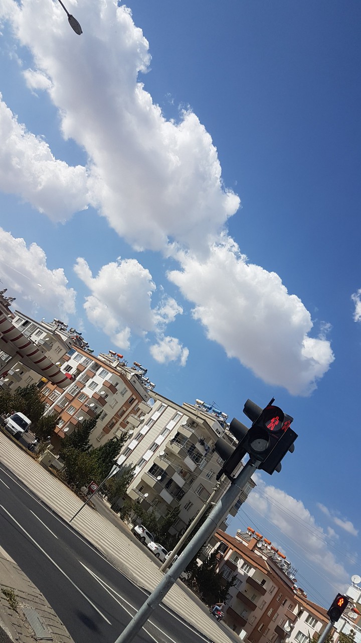 Şehir
