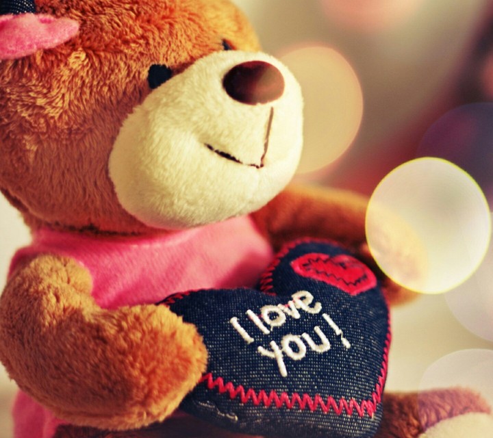 teddy bear