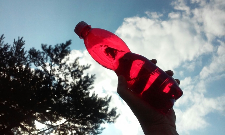 Bottle