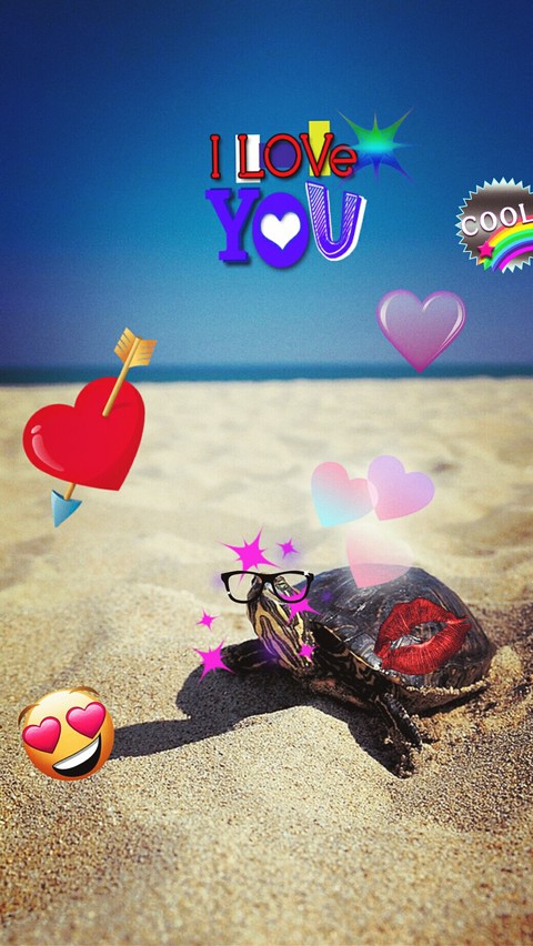 la plus belle tortue du monde