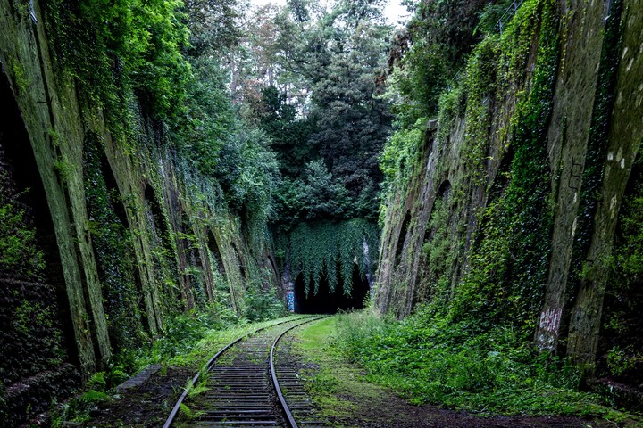 fonds d'écran moss, cave