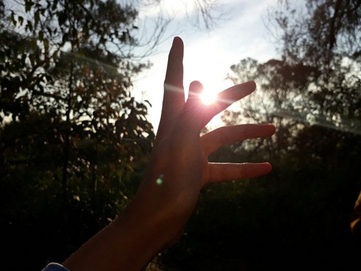 sunlight