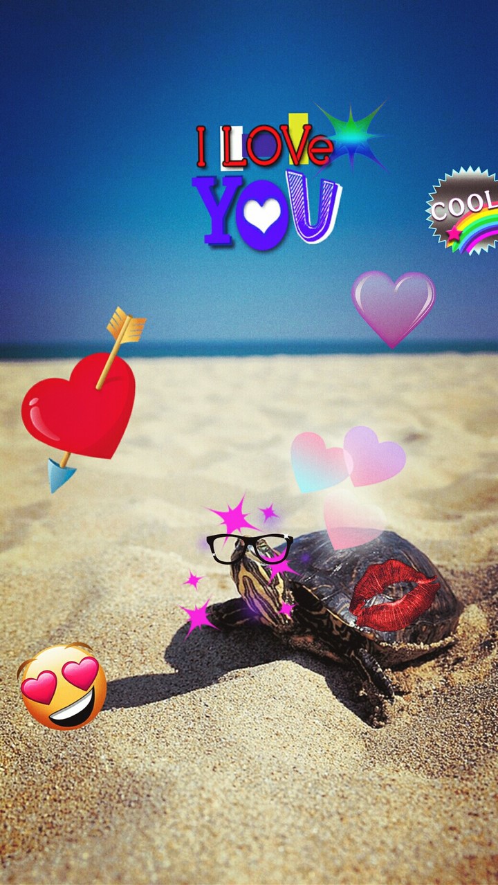 la plus belle tortue du monde