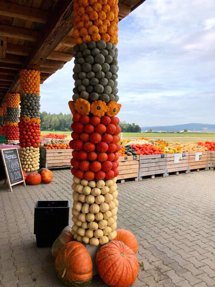 #autumn