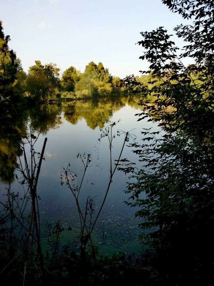 nature