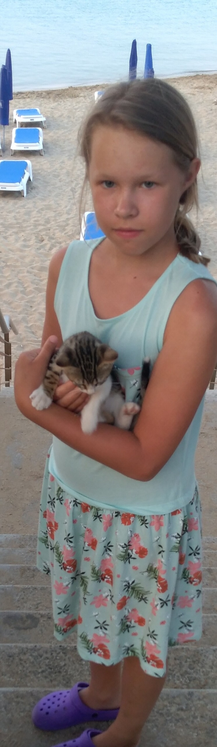 I whith cat