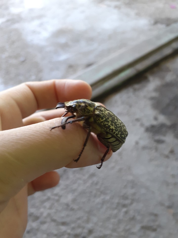 ??