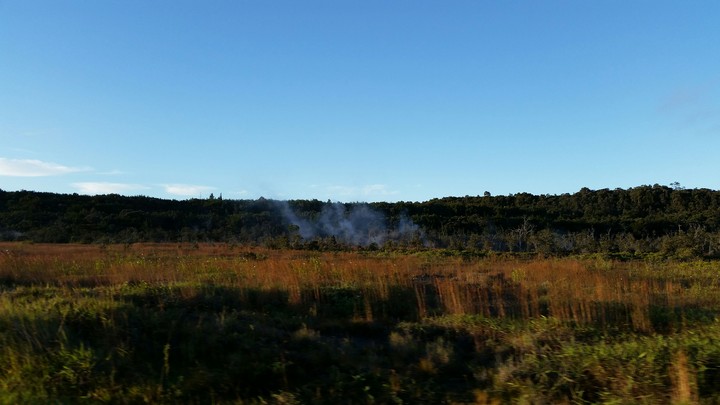Steam Vents