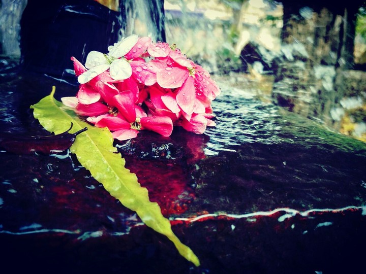 Flowers n drops