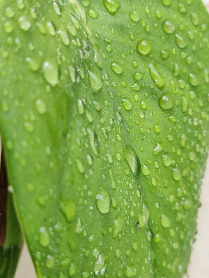 rain click