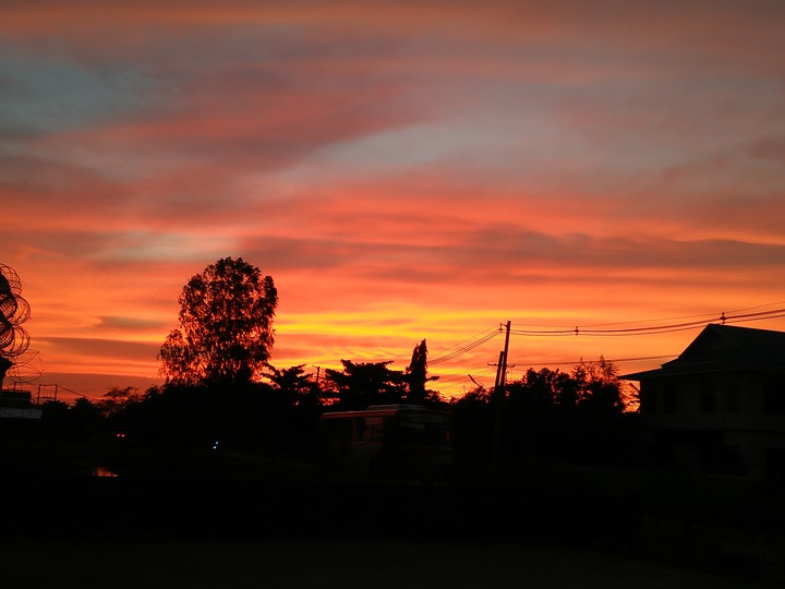 my evening~~