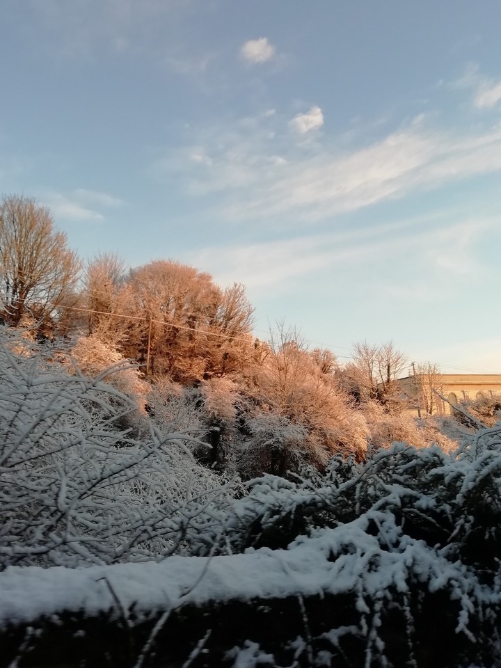snowy morning
