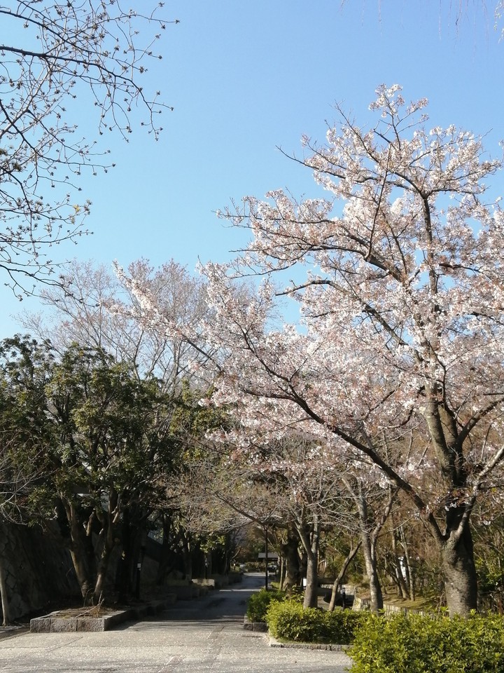 kyoto