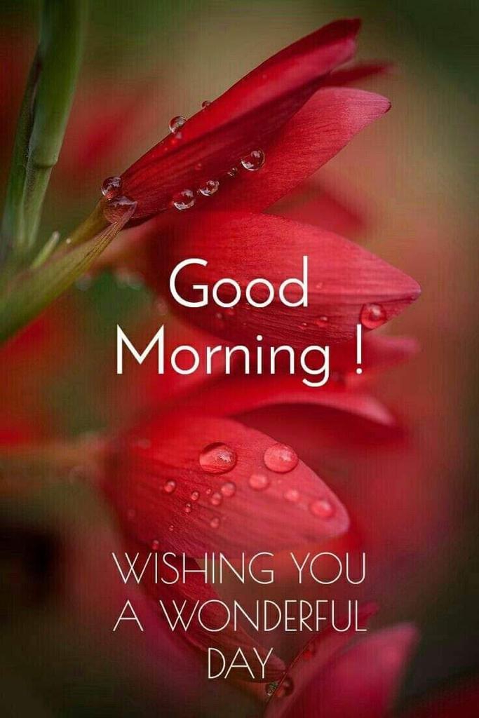 good morning