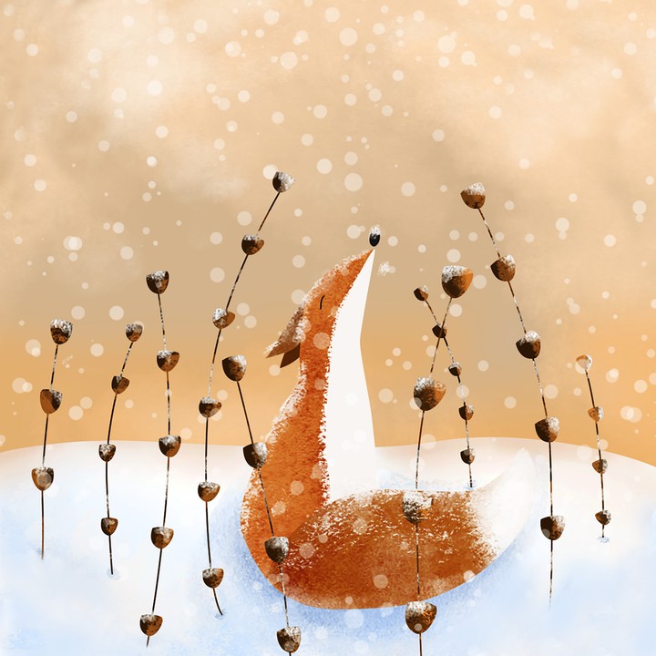 fox