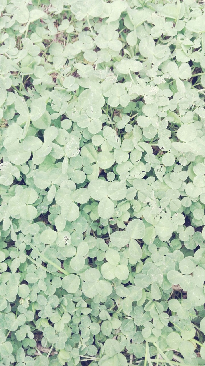 luck