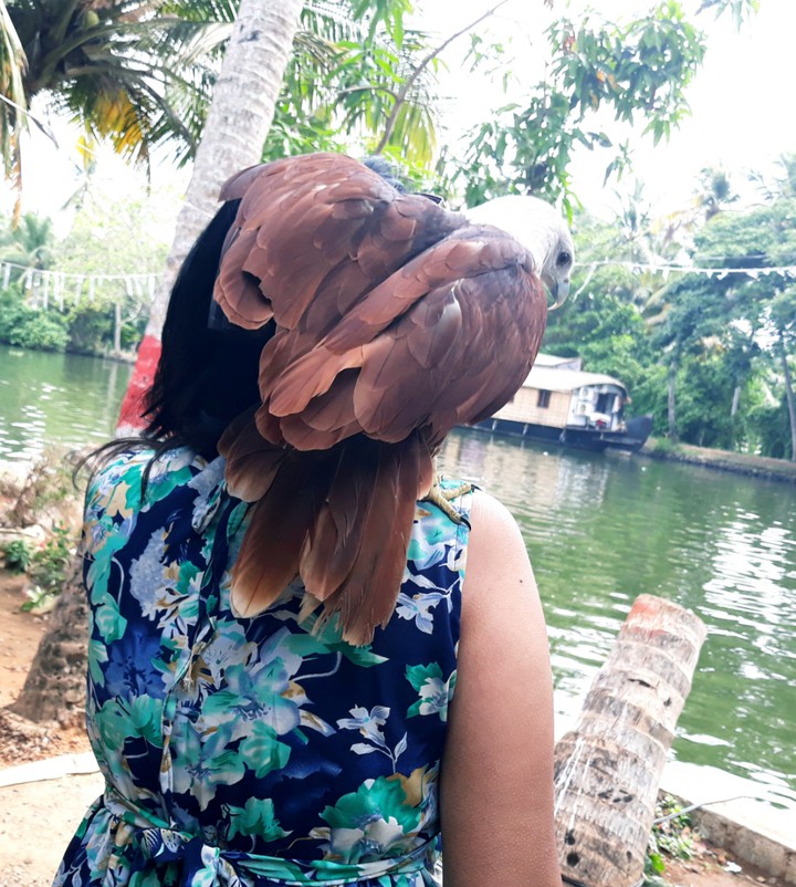Kerala