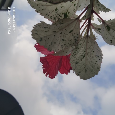 Wheel, cloud duvar kağıtları