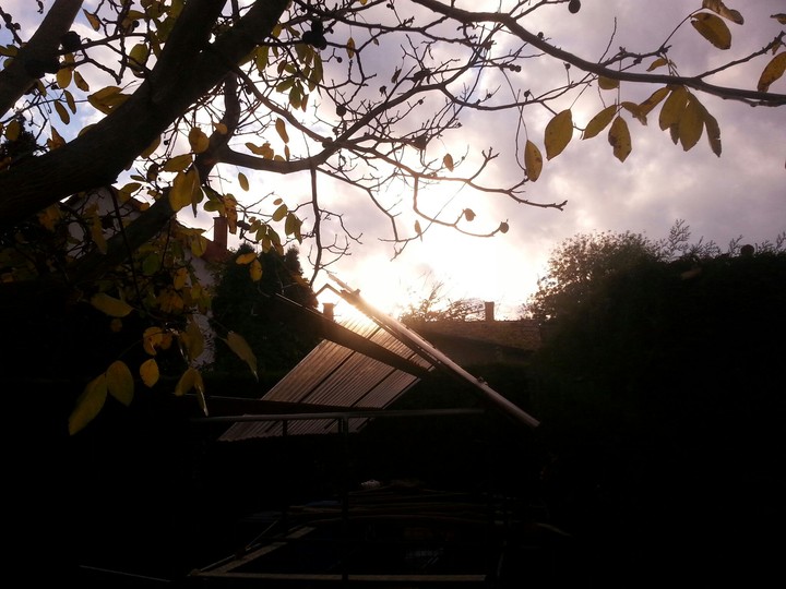 Autumn