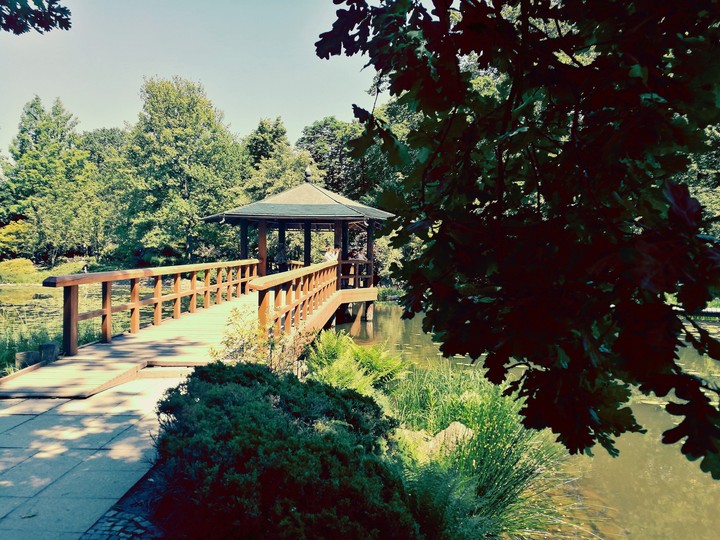 bridge