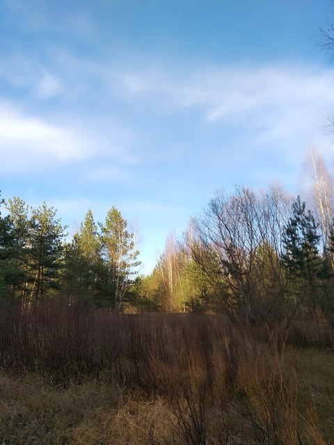 nature