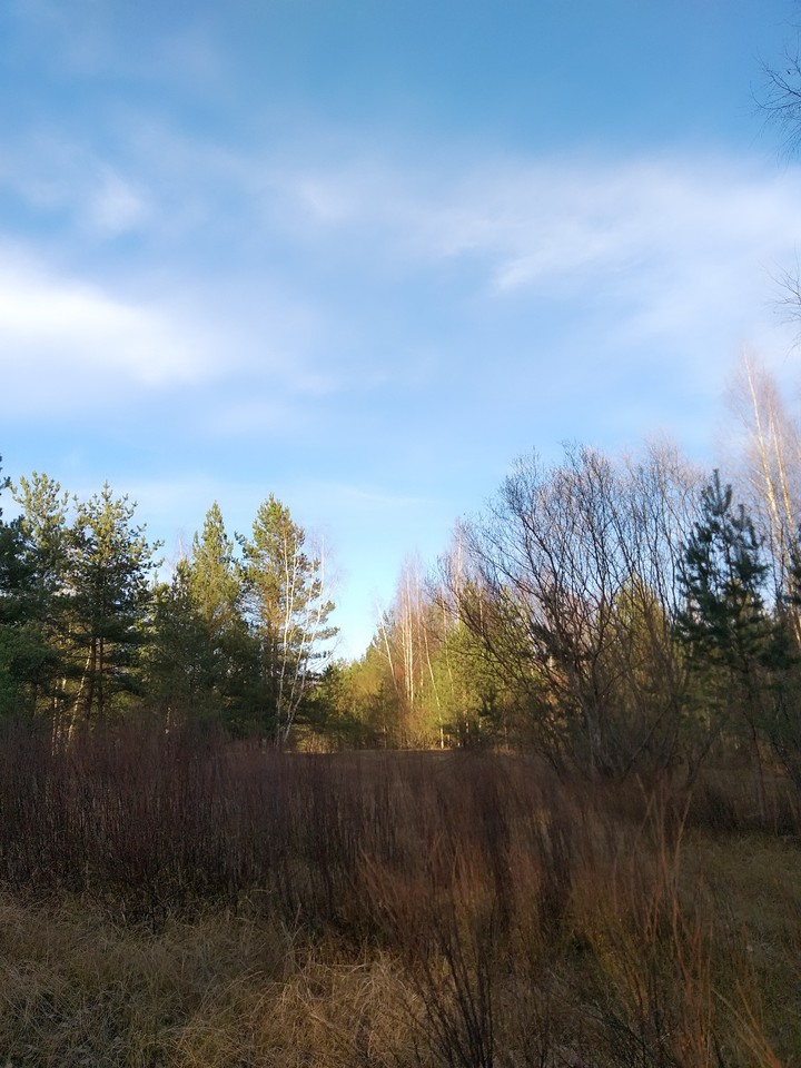 nature