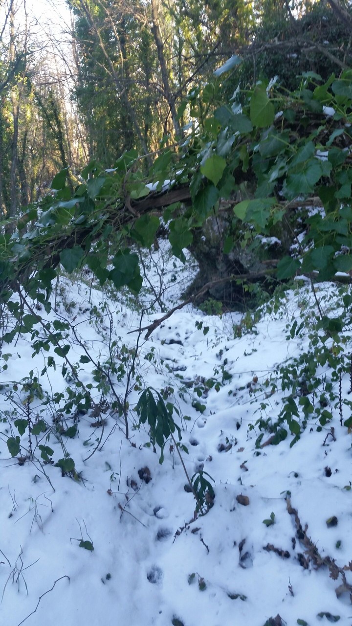 winter