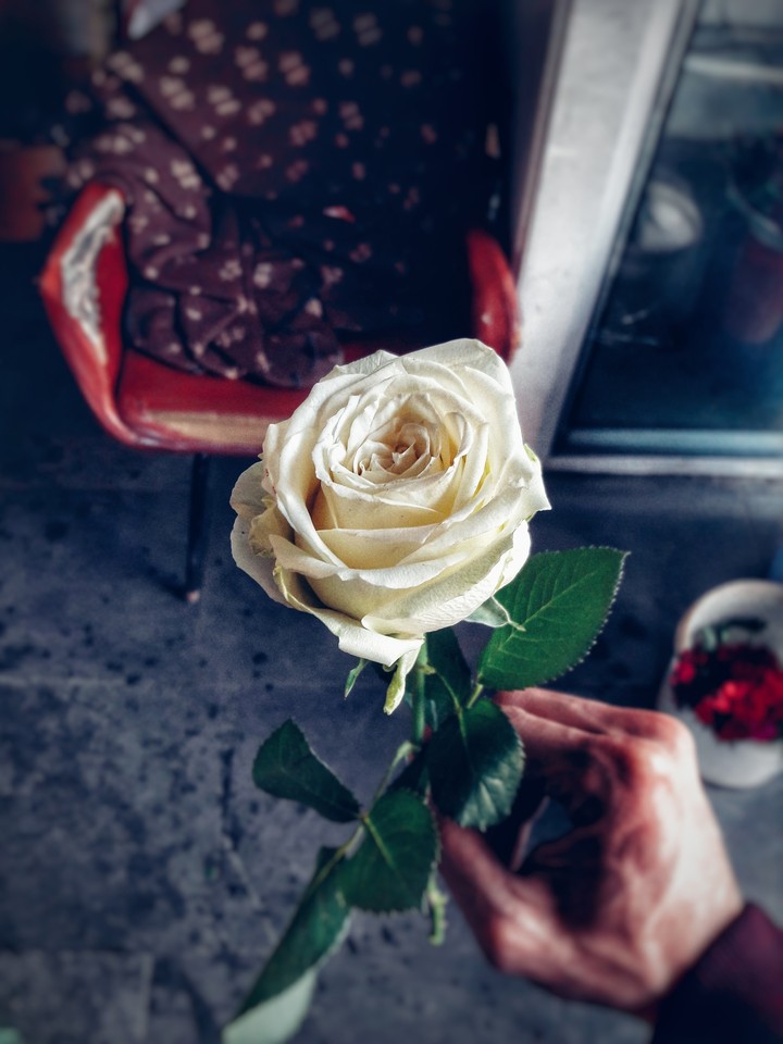 Rose for you