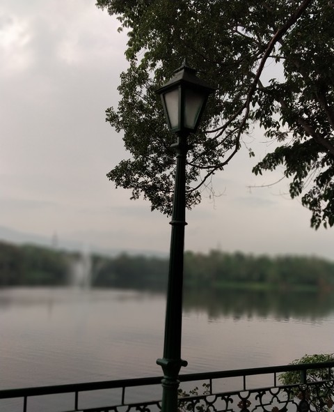 The Solitary Post