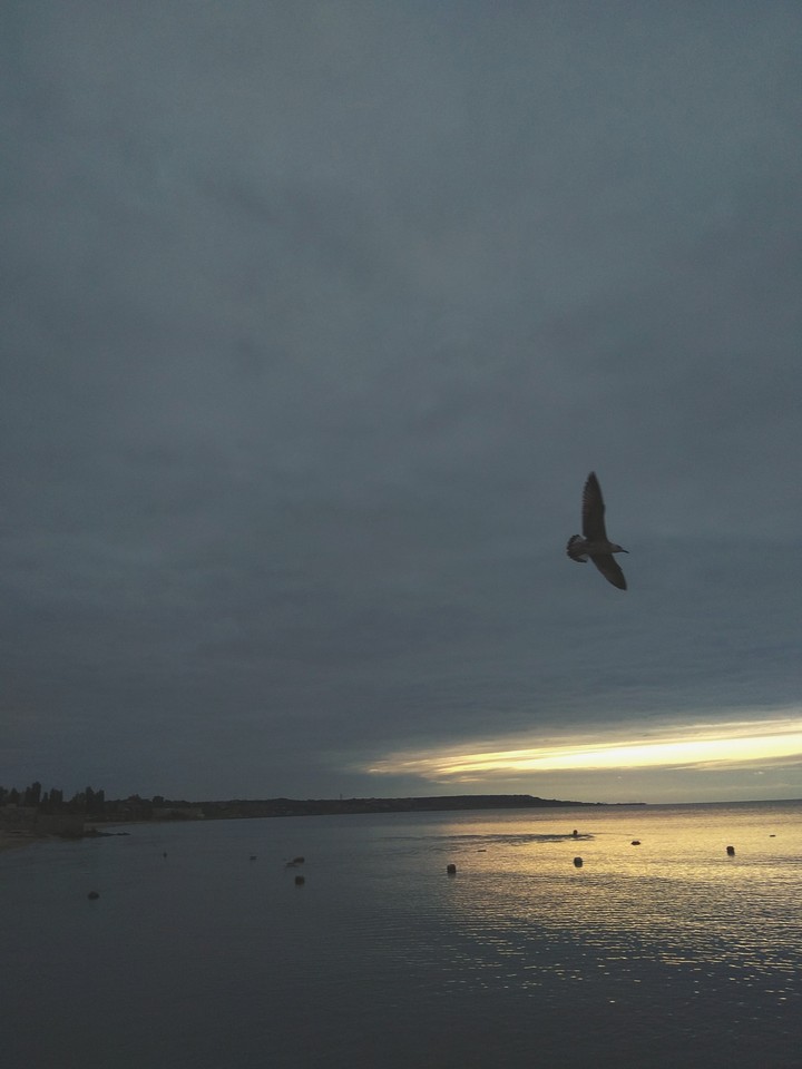 seaside