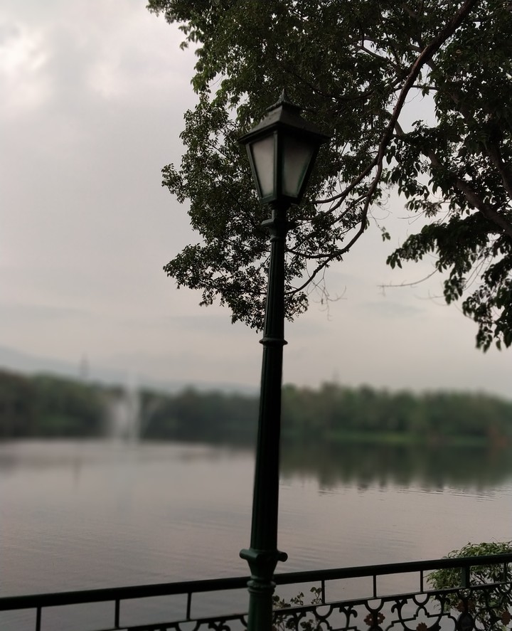 The Solitary Post