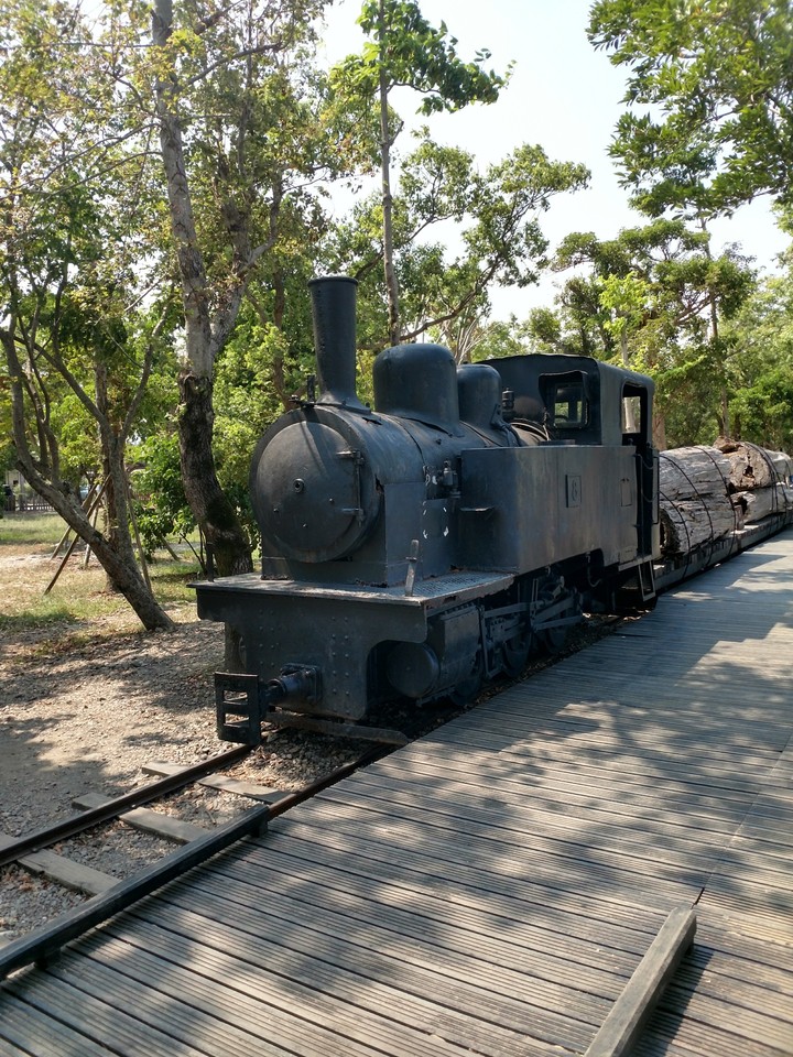 logging train