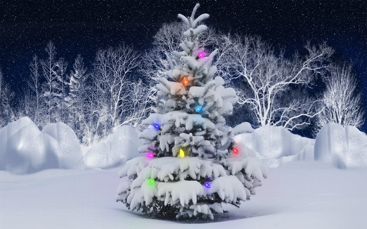 tree