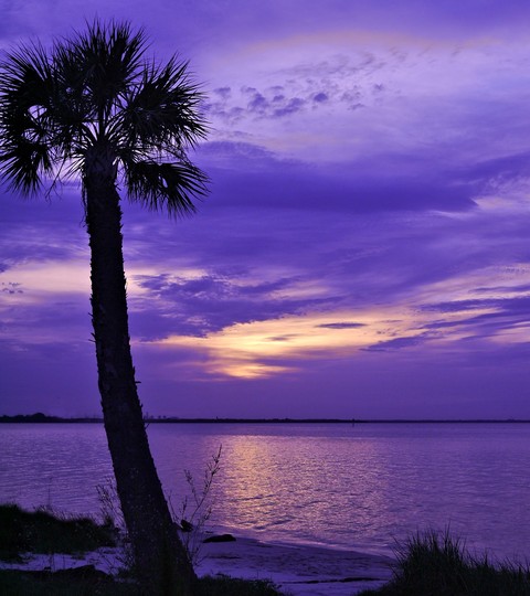 Dawn Over Safety Harbor