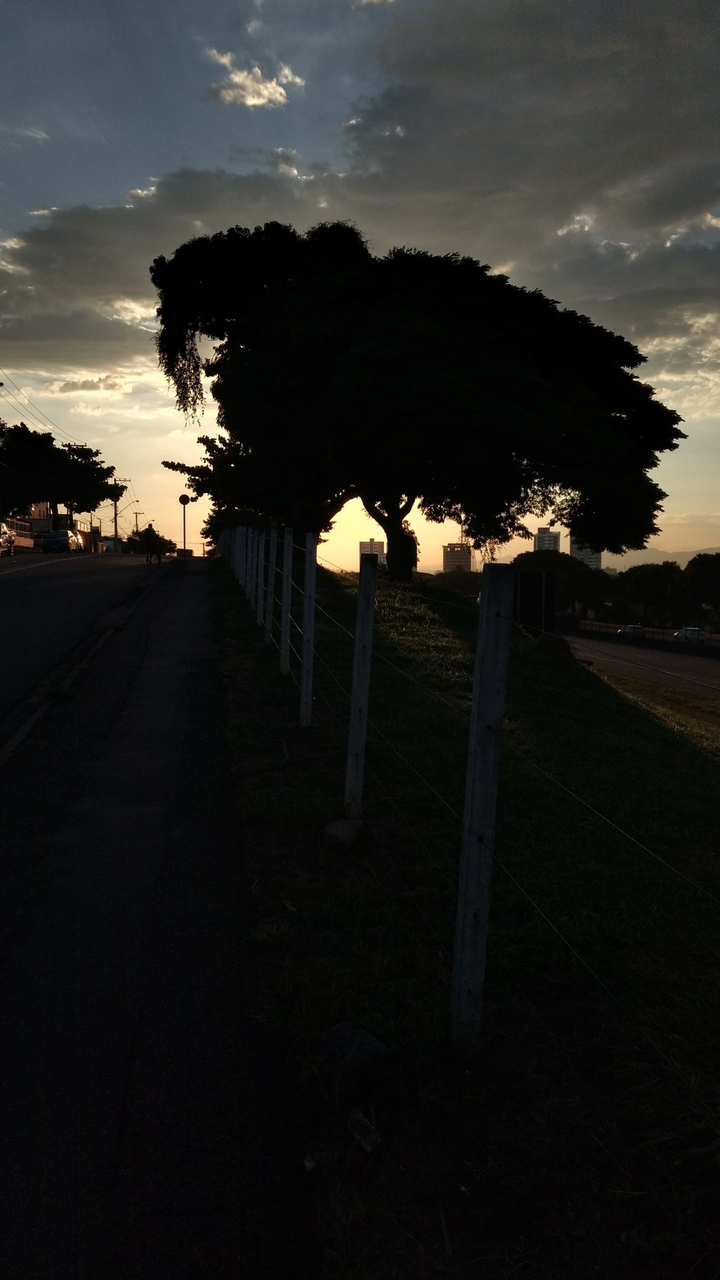sombra