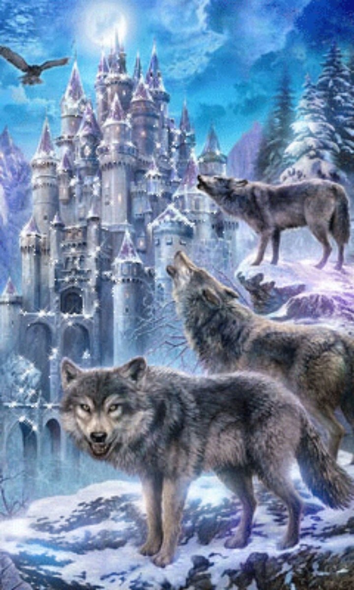 wild animals