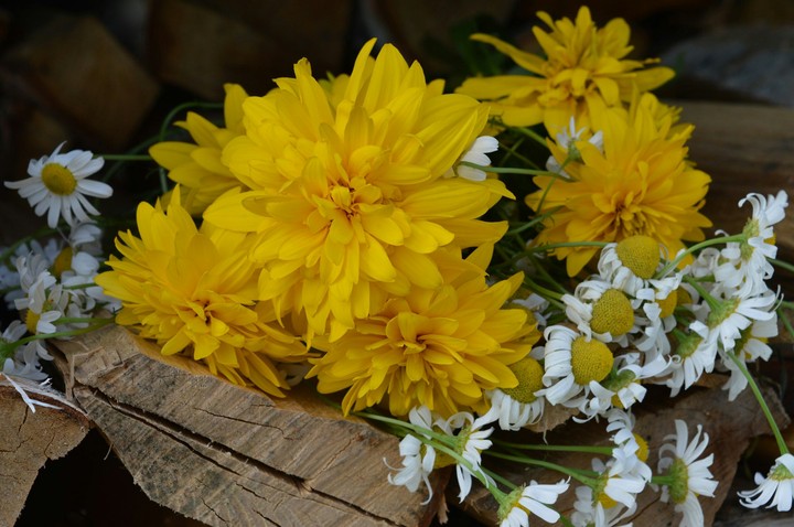 flowers